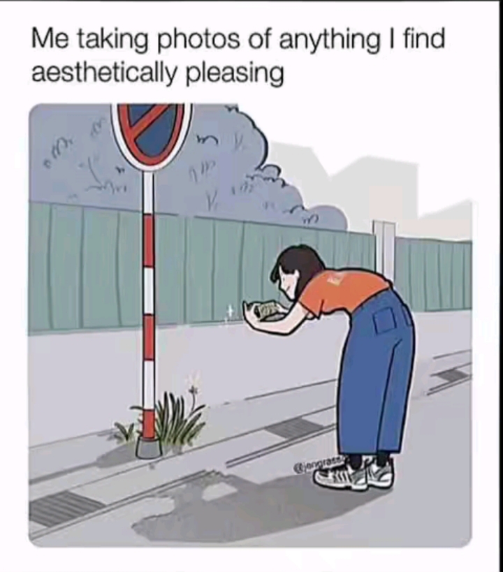 @jaysei