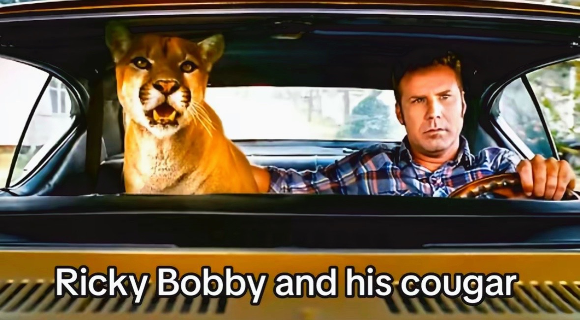@jaboo