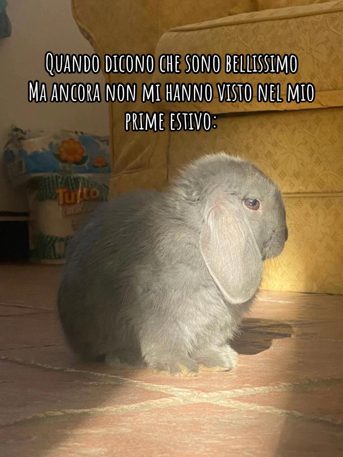 @Peter Rabbit