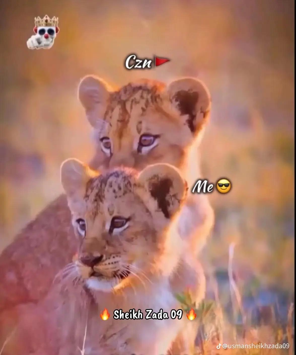 @چ♖💋  c𝒽 𝓏Ａ𝕄𝔞𝕟  🐊🌷