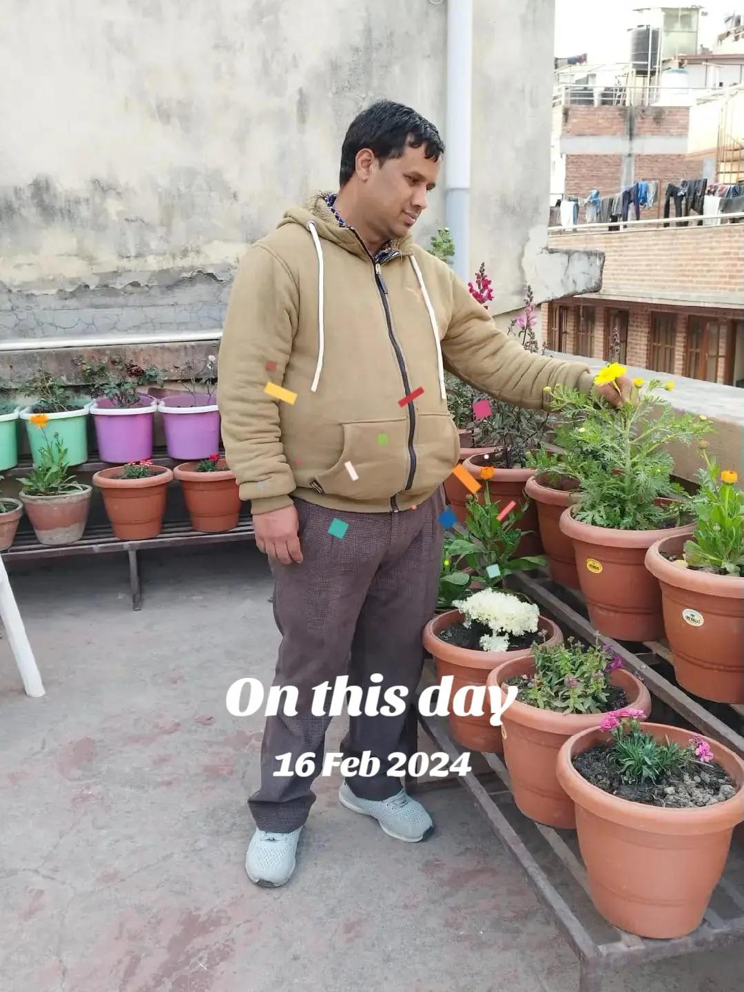 @चिमोरिया शरण