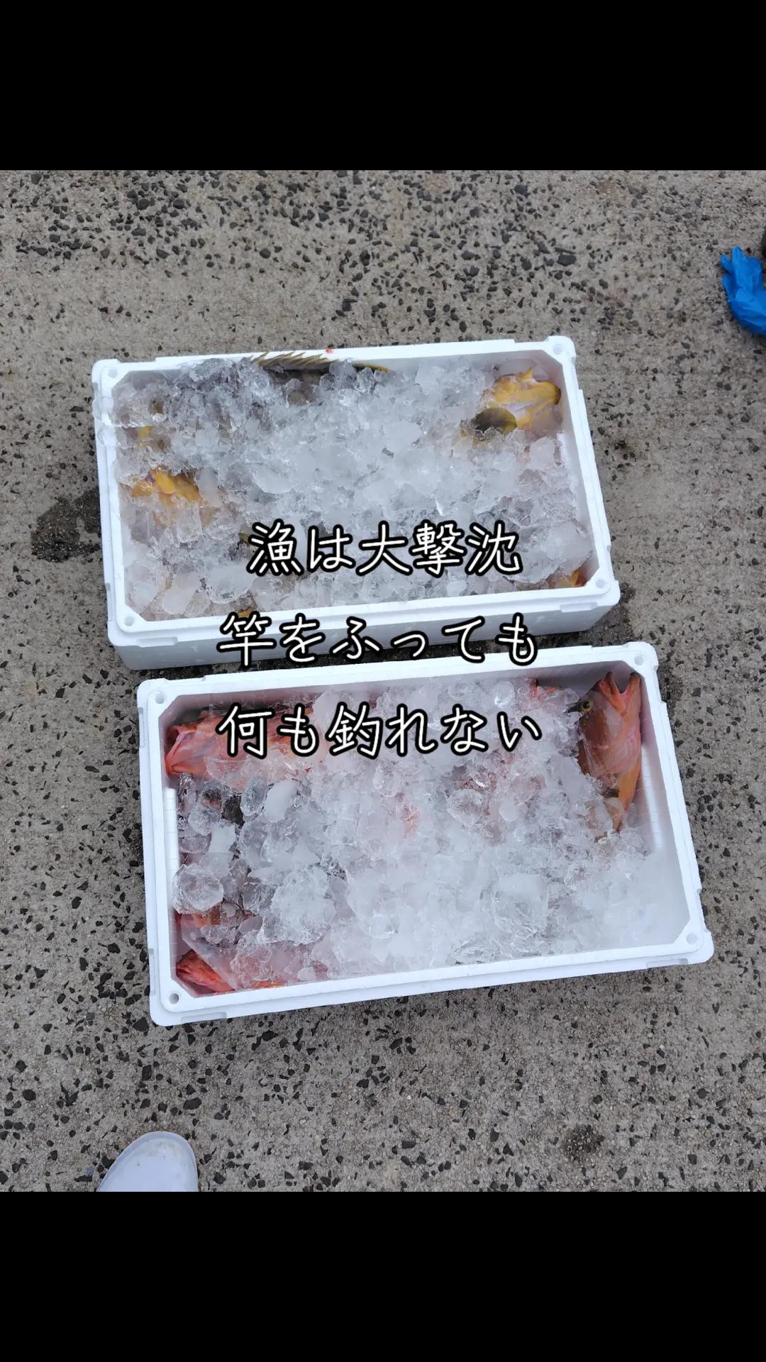 @愛真丸