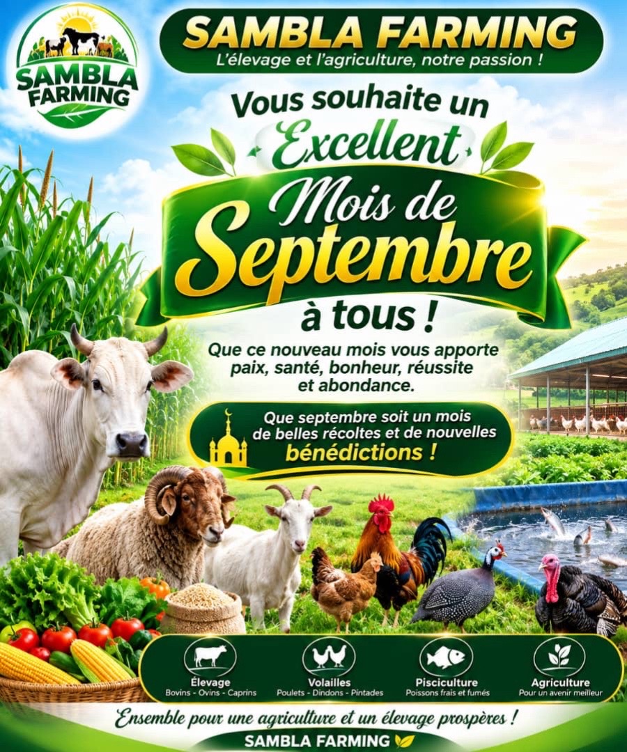 @Sambla Farming