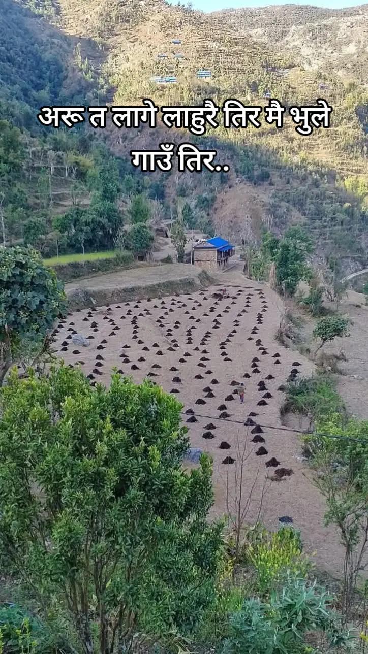 @🇳🇵नेपाली गाउँ बस्ती🌹