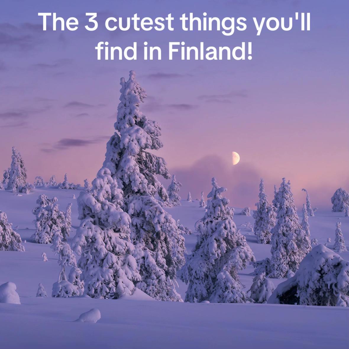 @Turmion K&auml;til&ouml;t