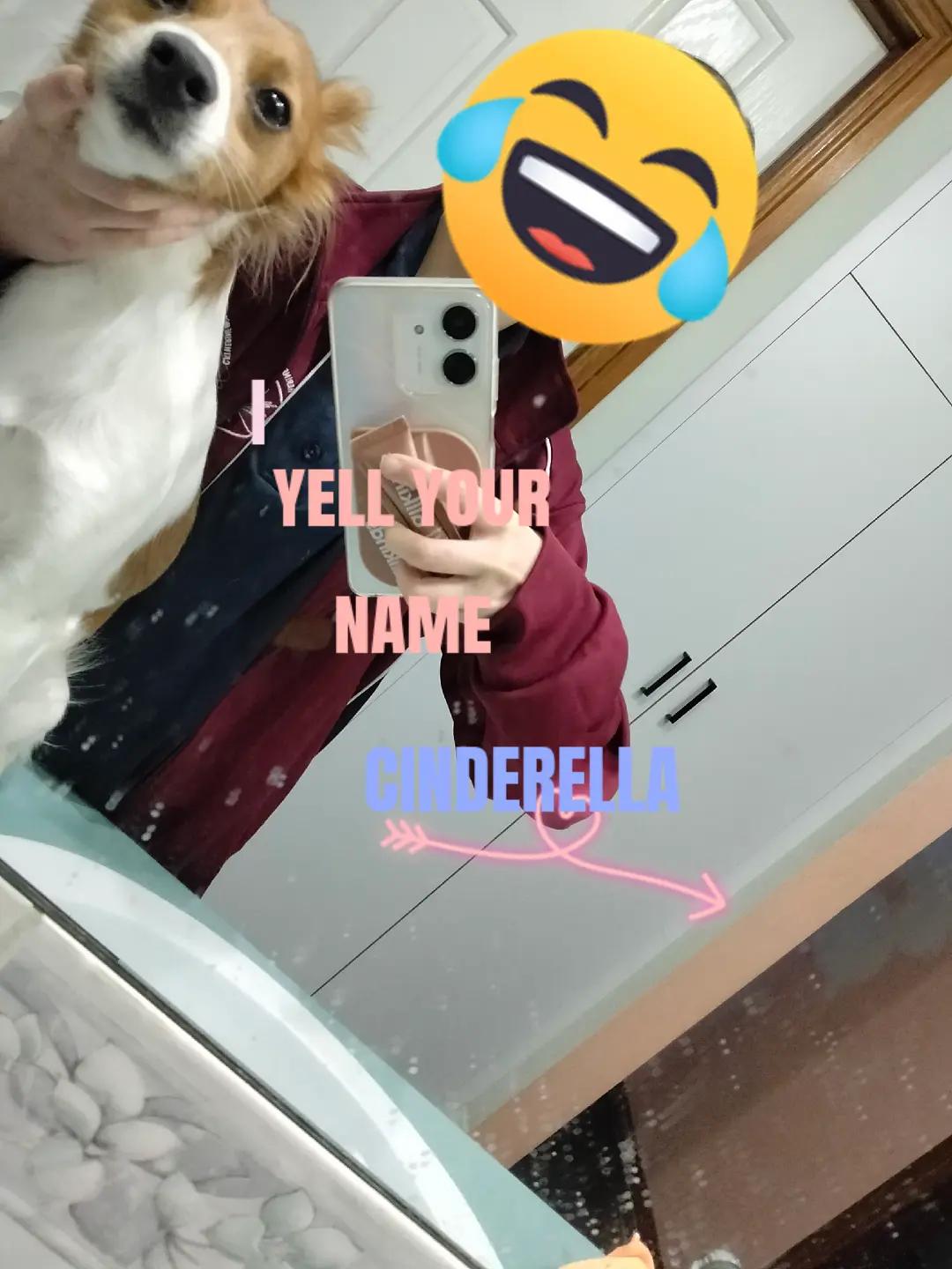 @Savvycheers‧˚꒰🐾୭ ˚. ᵎᵎ