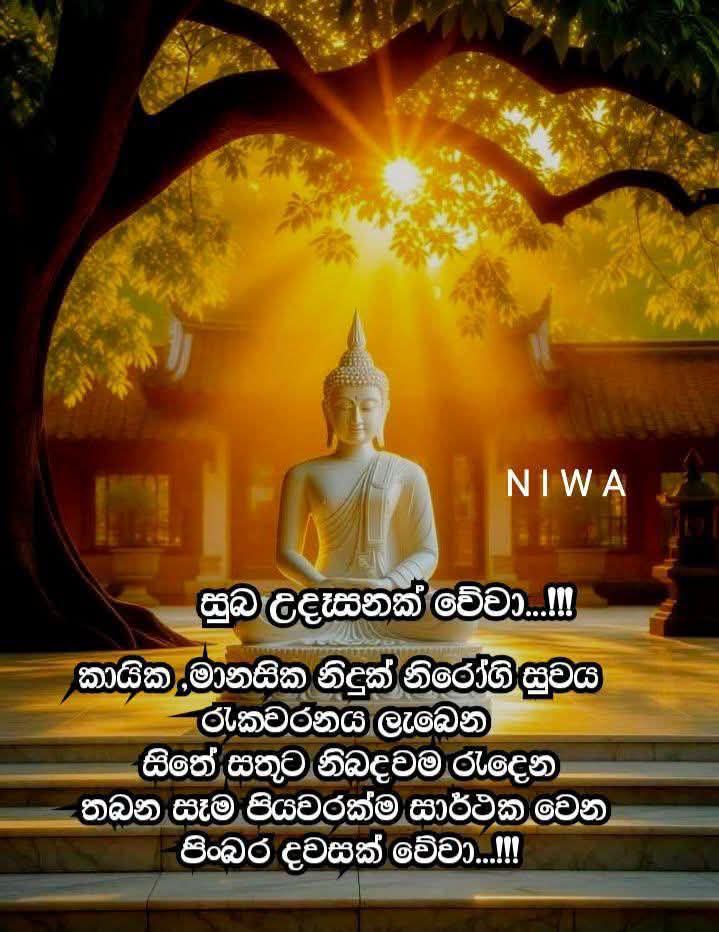 @prasanna