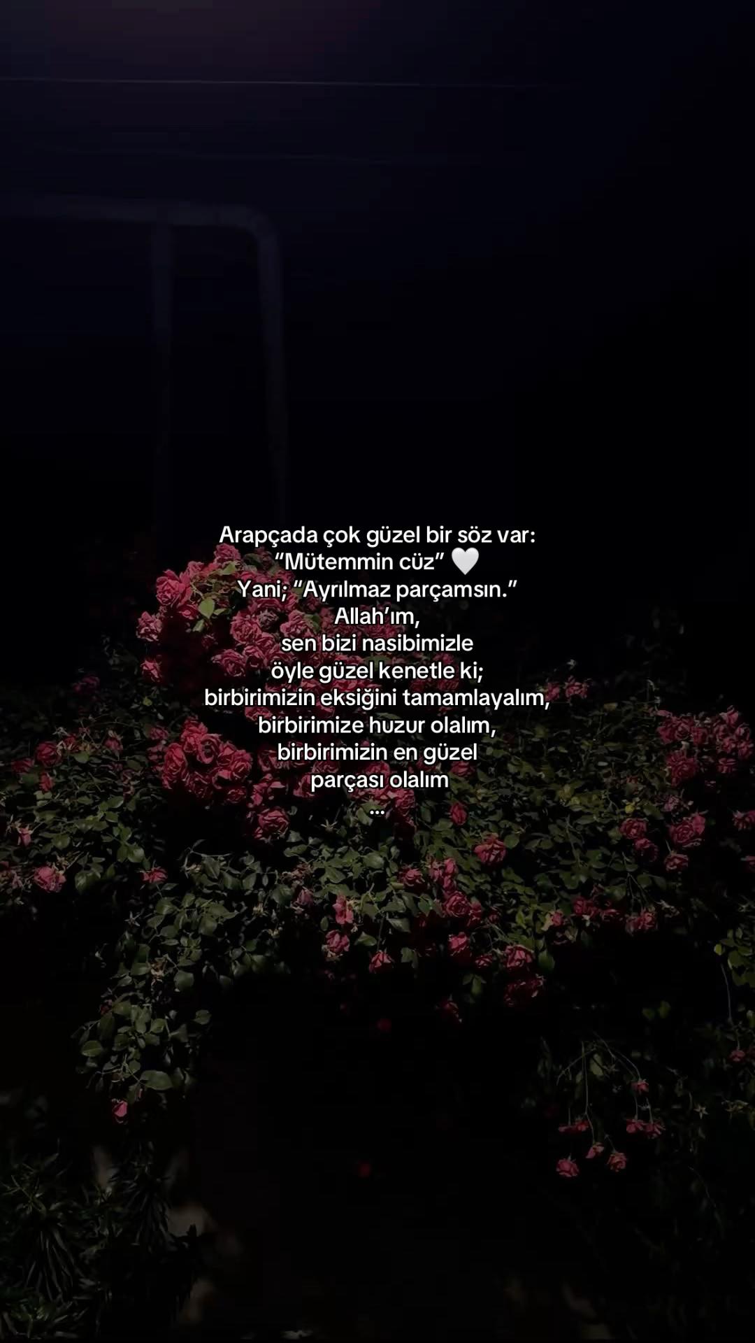 @𝓔𝓵𝓲𝓯