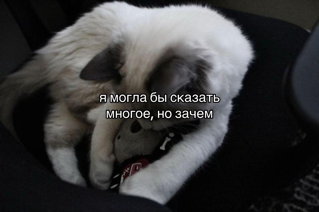 @🎲