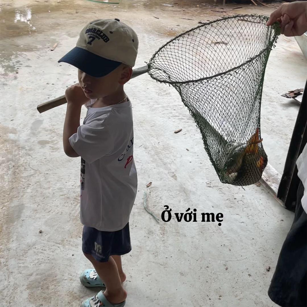 @Minh Đăng