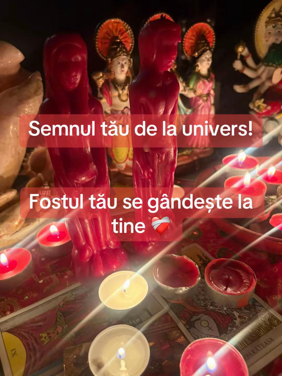 @🥀Tamaduitoarea Denysa 🔮