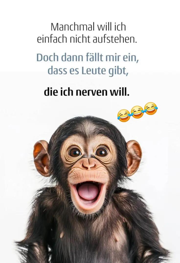 @âïžð¹âïžð³ïžðKarinð³ïžðâïžð¹âïž