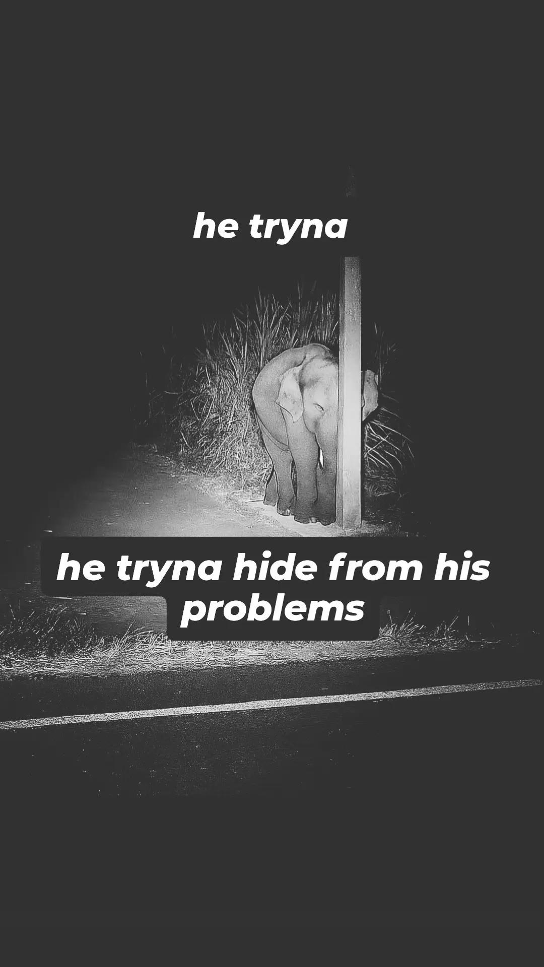 @r