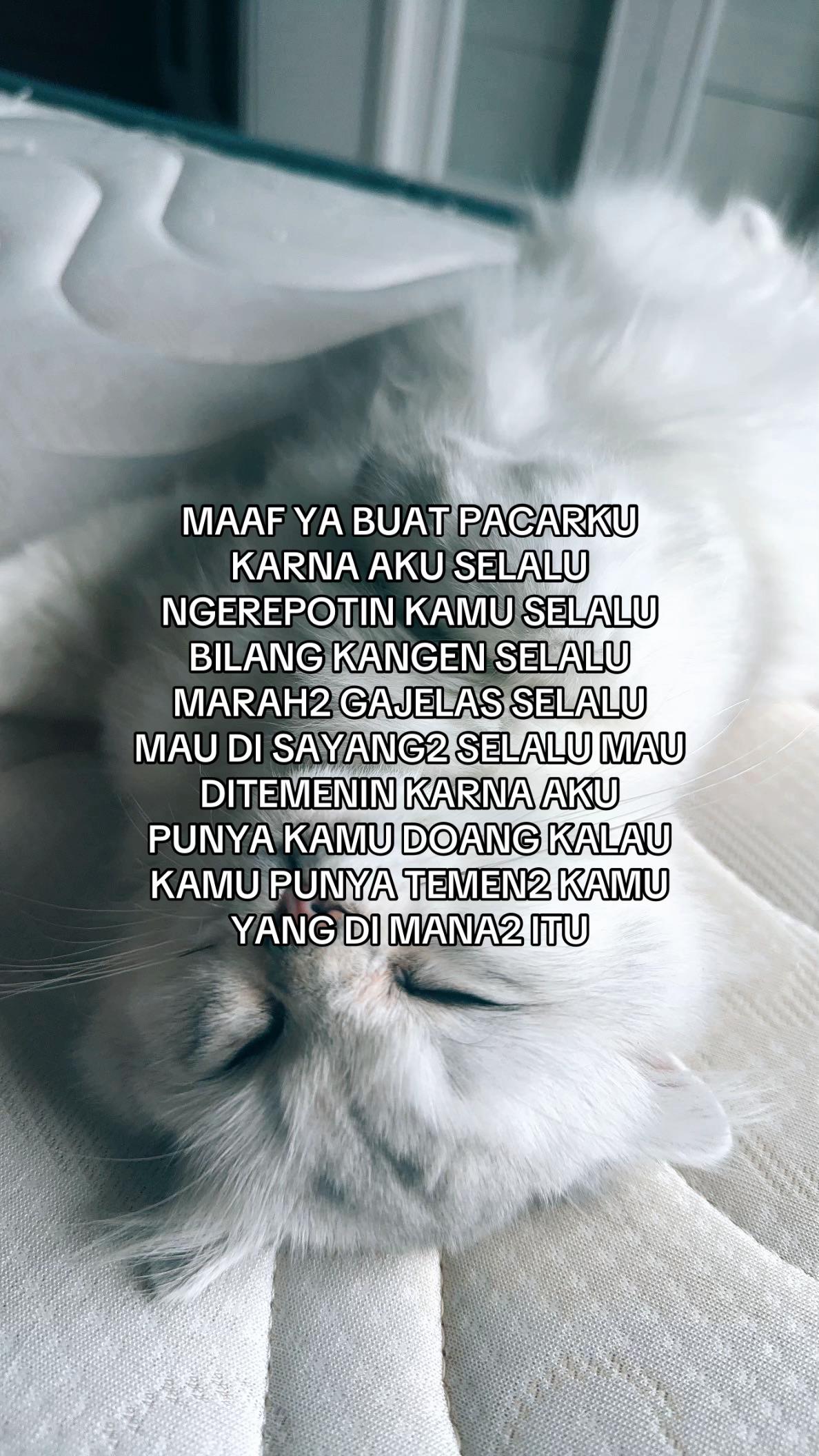 @maliaaa