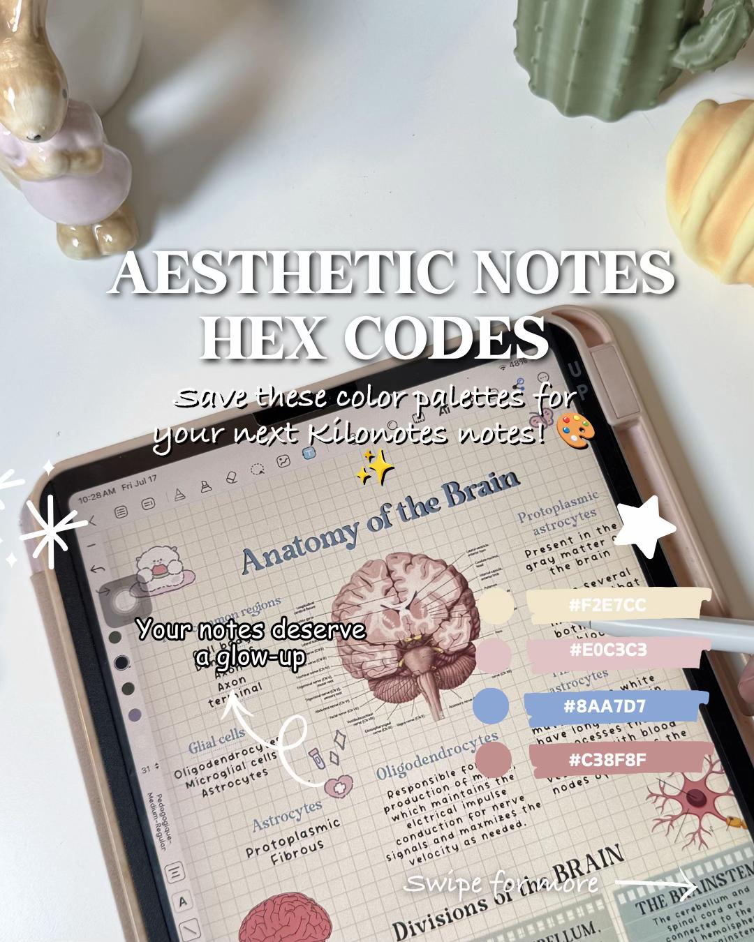 @Create with kilonotes | Sophia