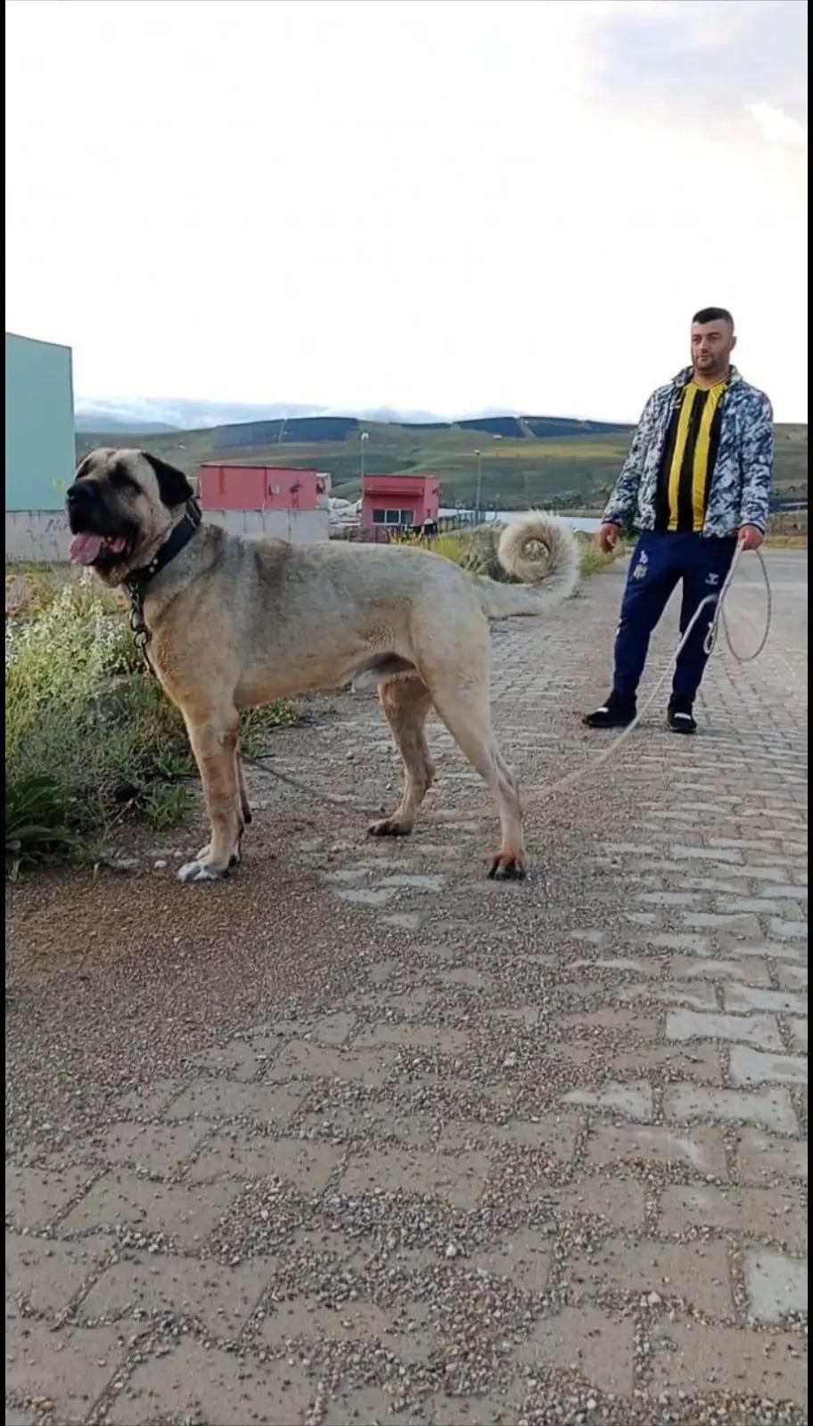 @Usta Ömer