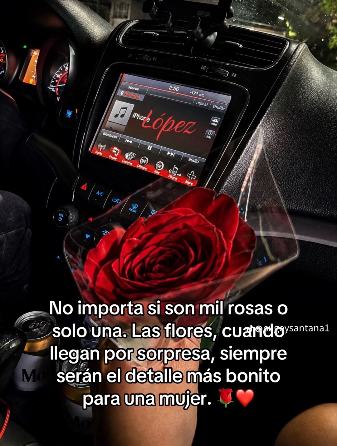@marylopez44448
