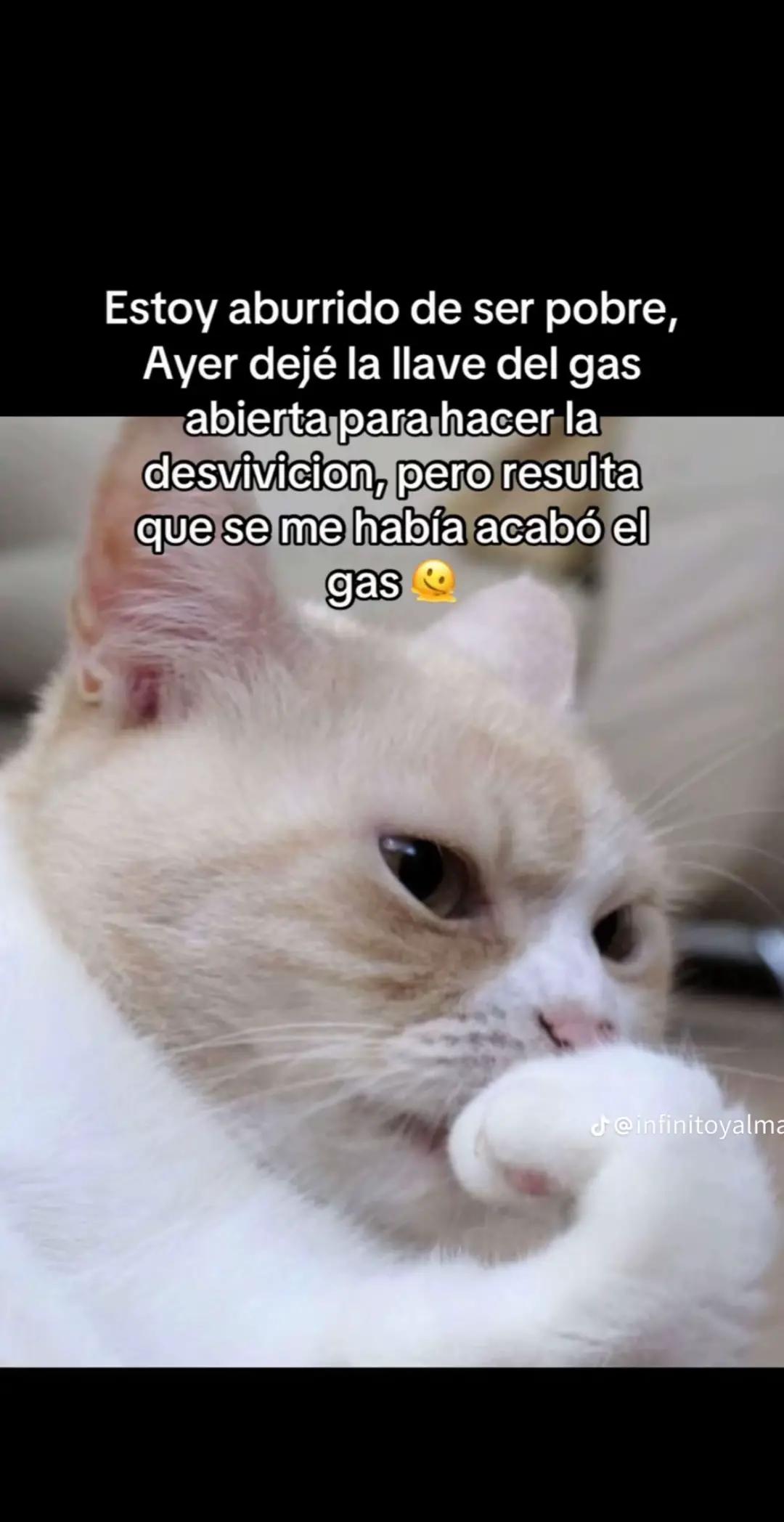 @efren Barcenas