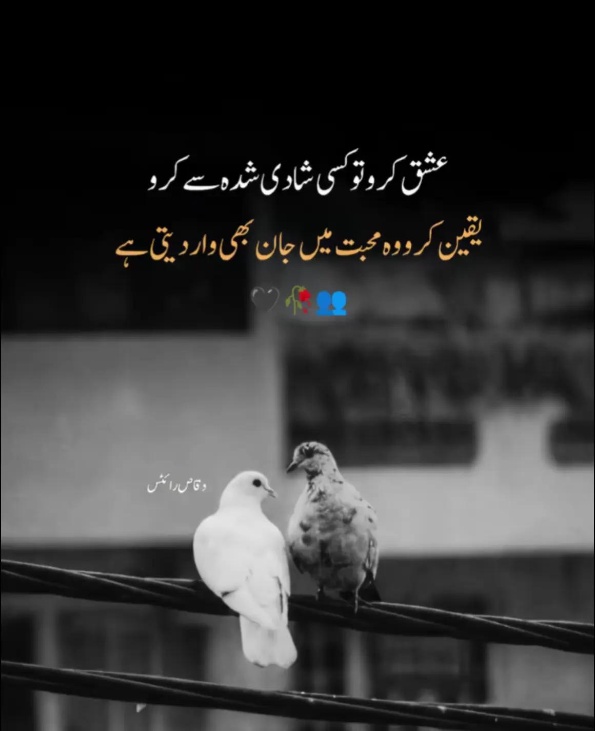 @USMAN Ali