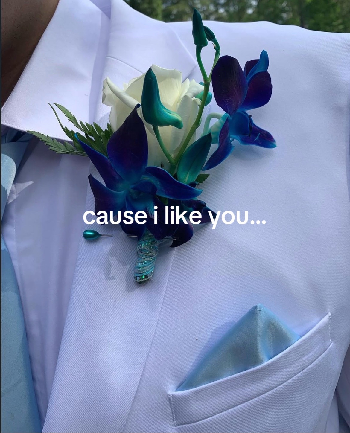 @xander