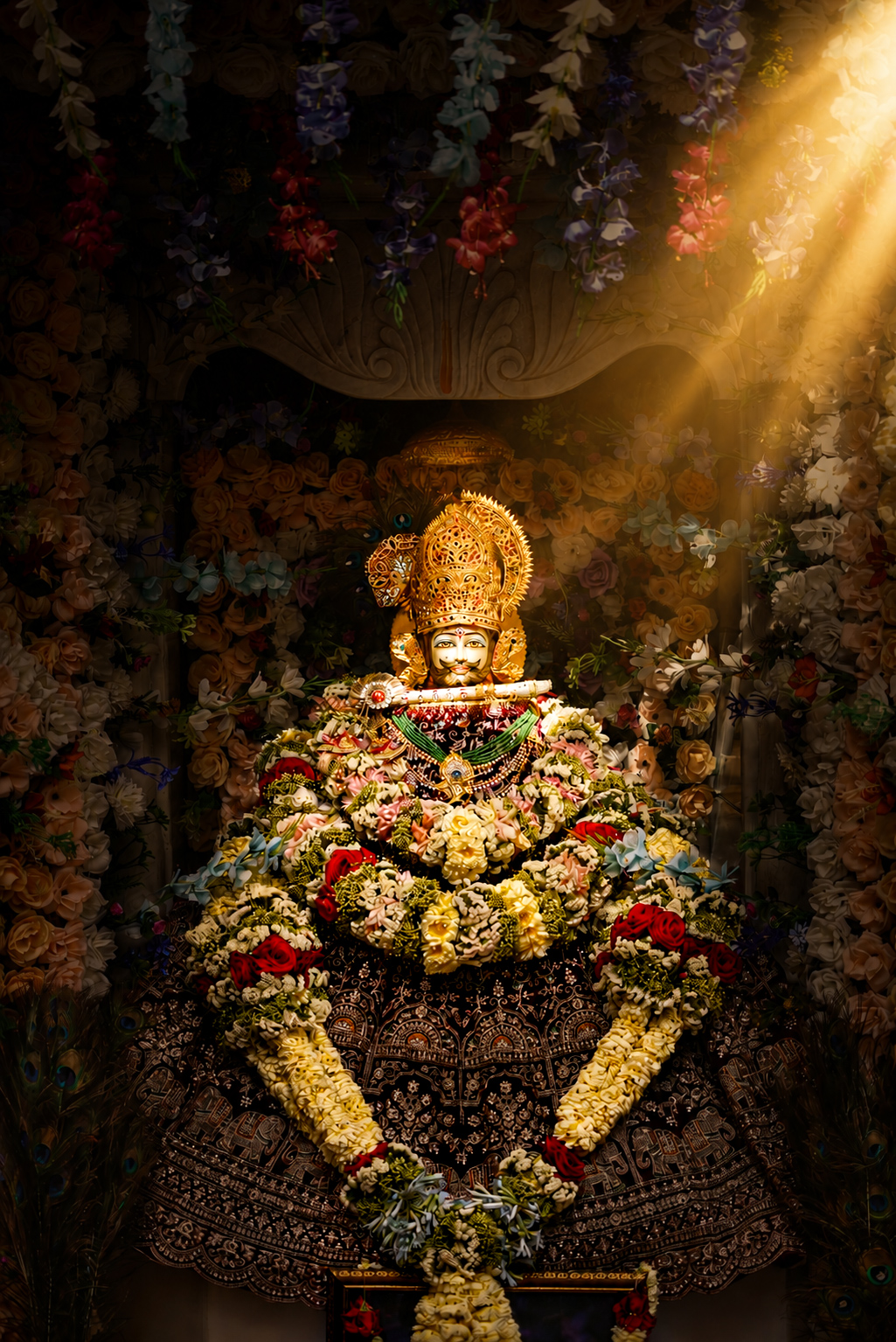 @shree shyam premi🫶🚩🕉️✨