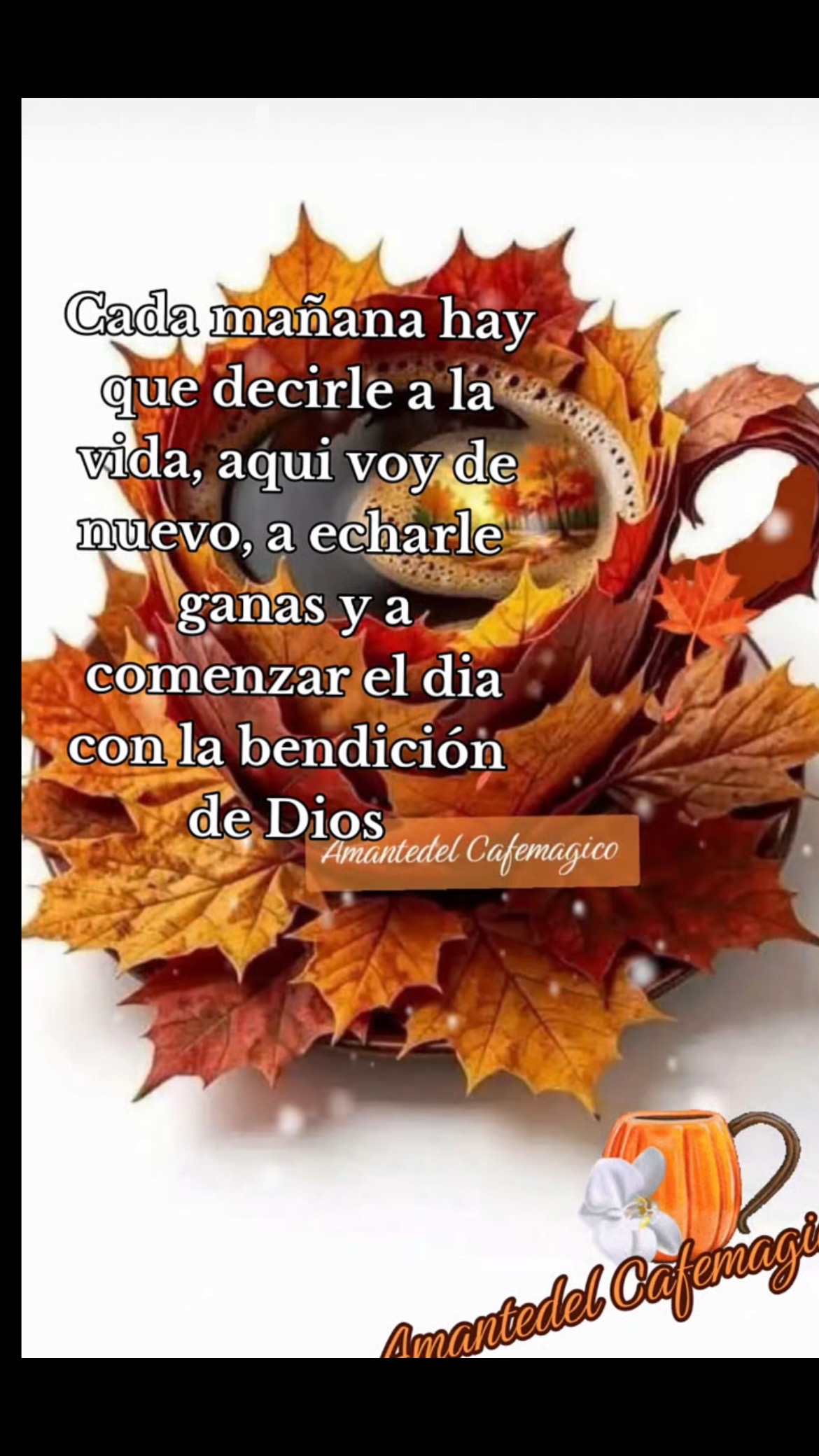 @Pedro Cruz