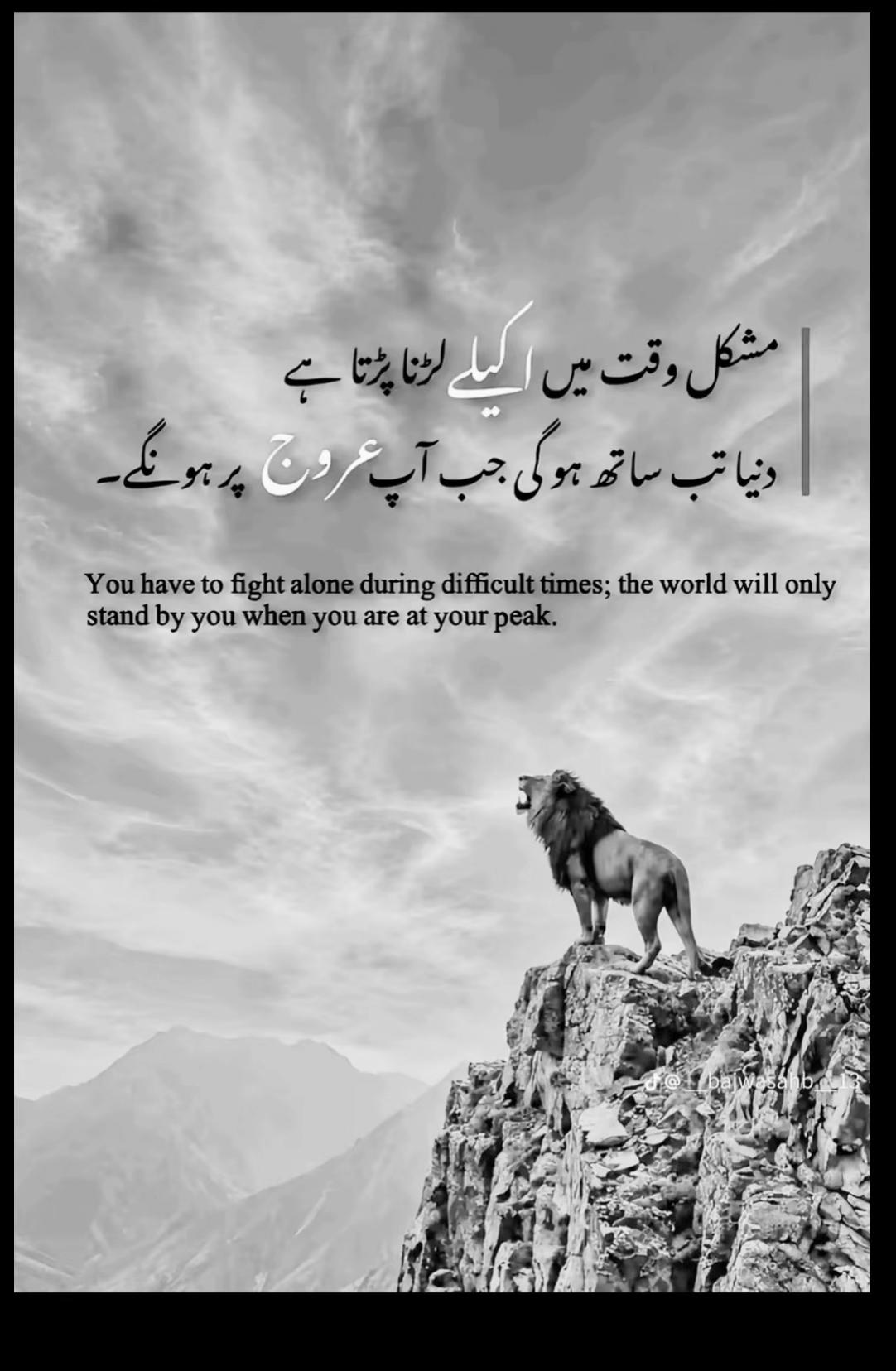 @🐺ن