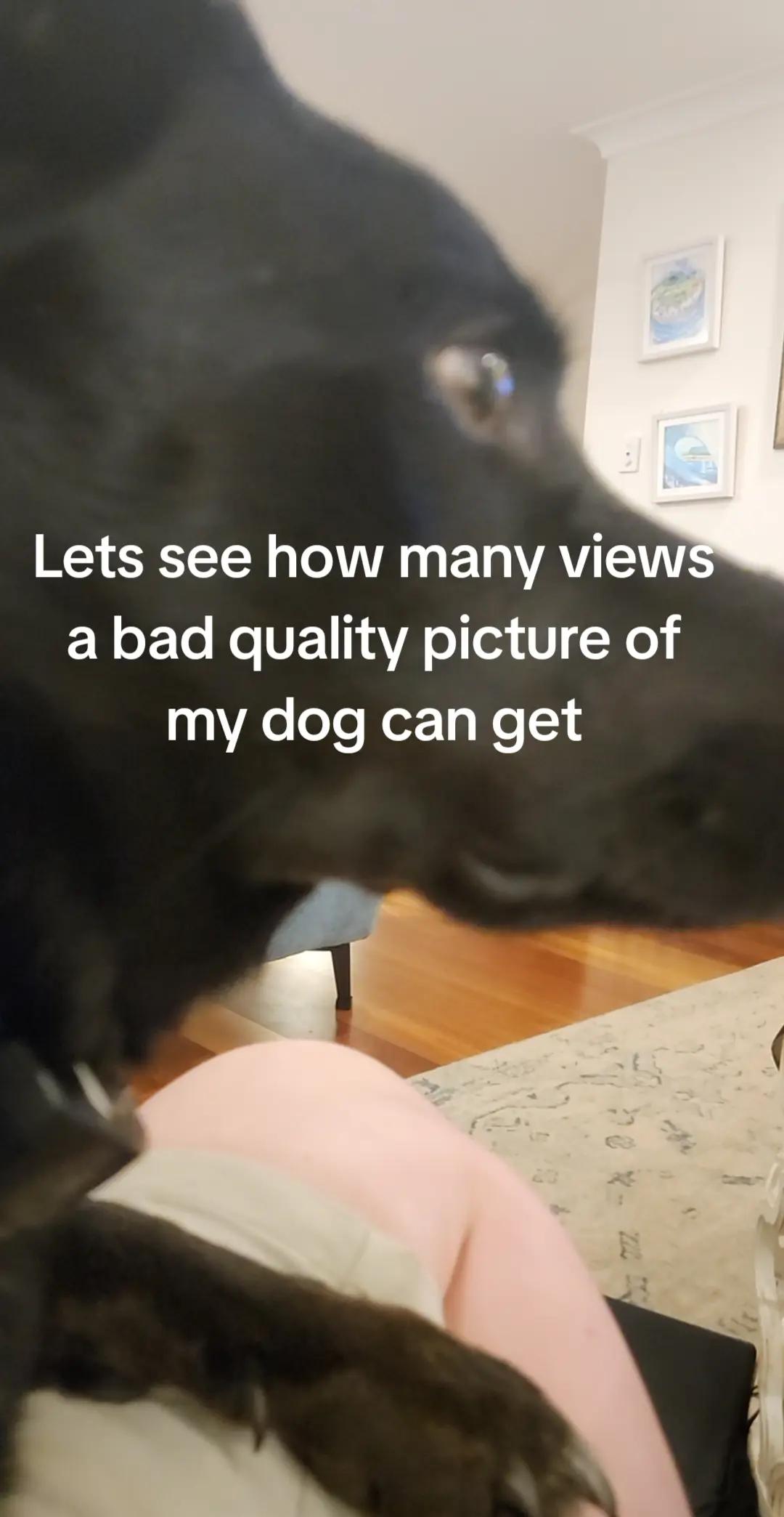 @Kokkbezzzy
