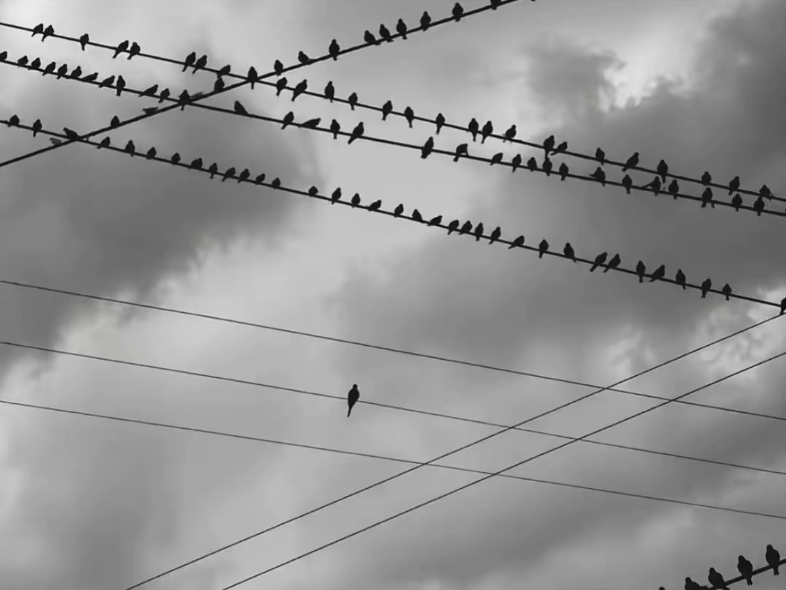 @DREAM FF
