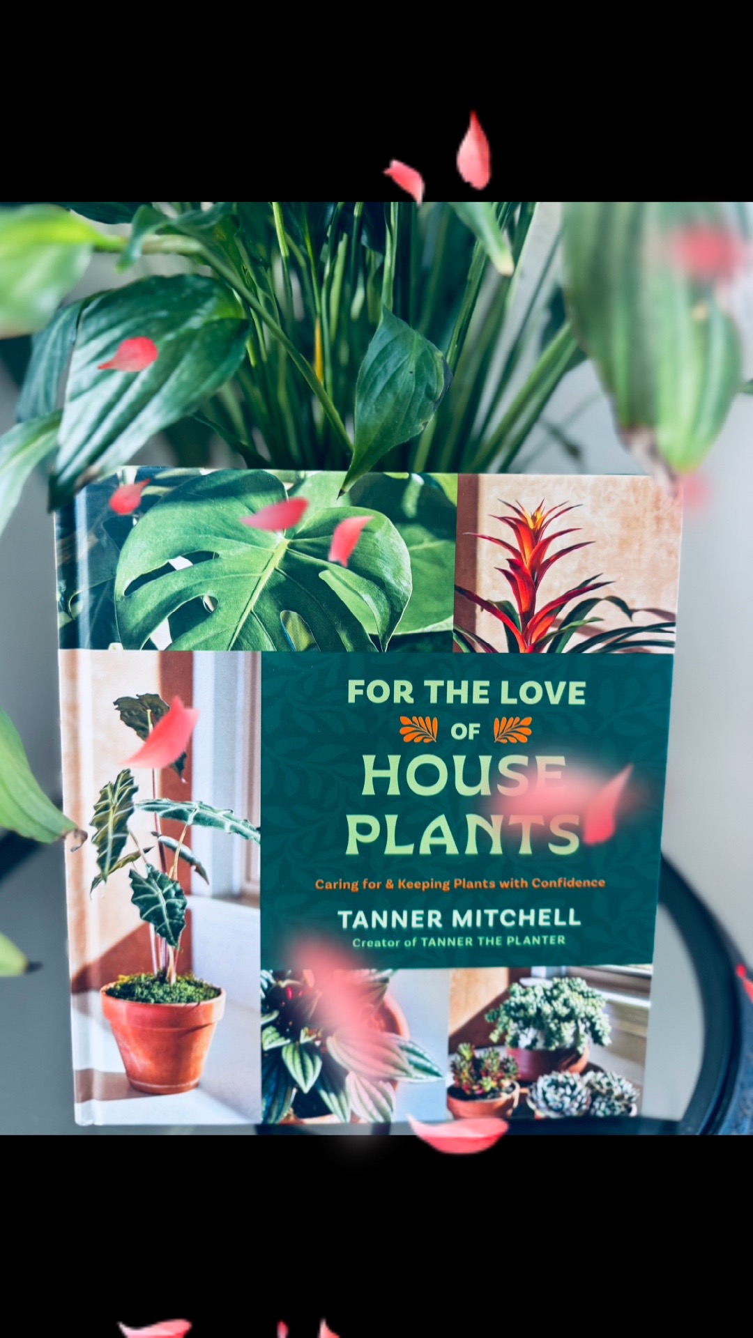 @Life_love_and_books