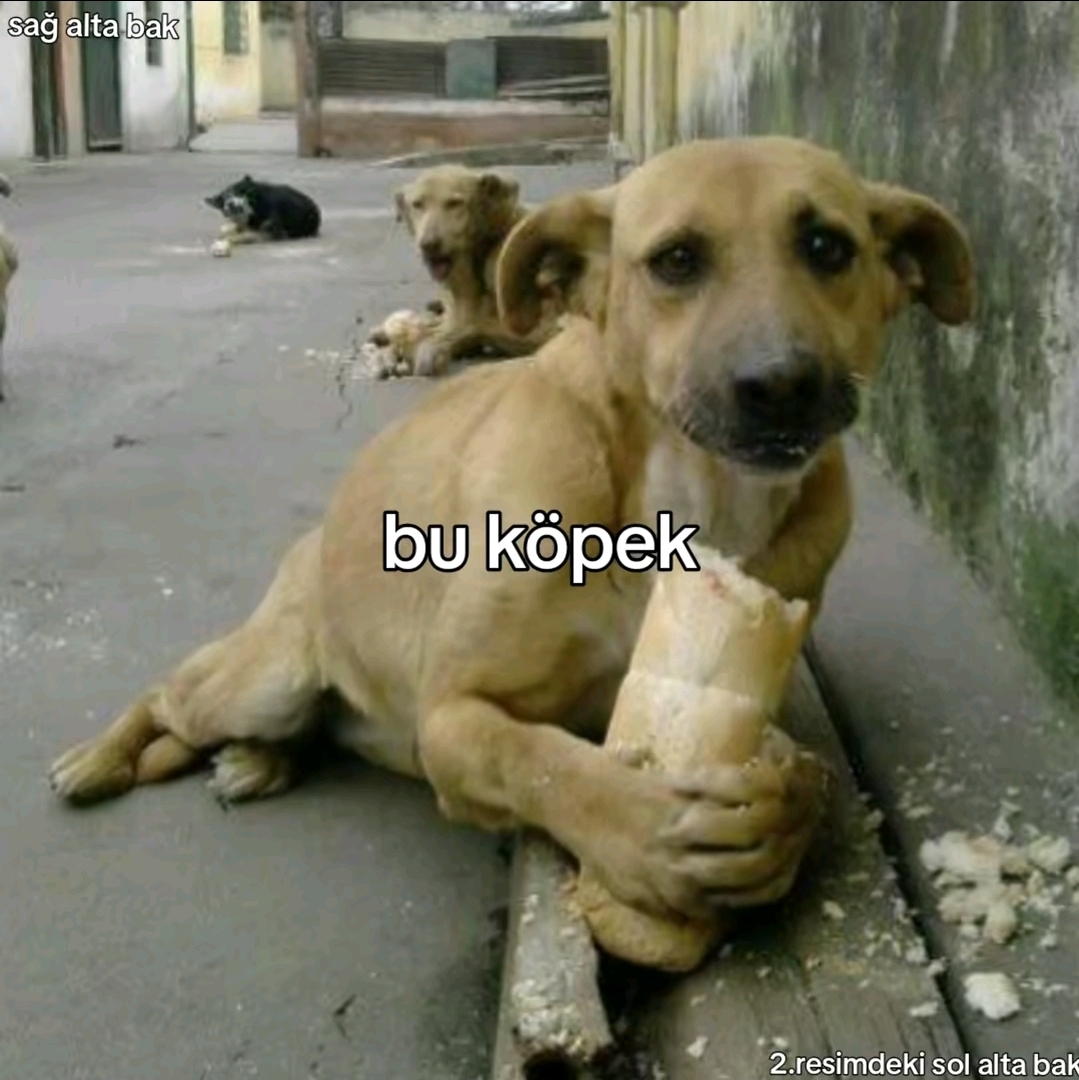 @๐๐ฅ๐ข๐