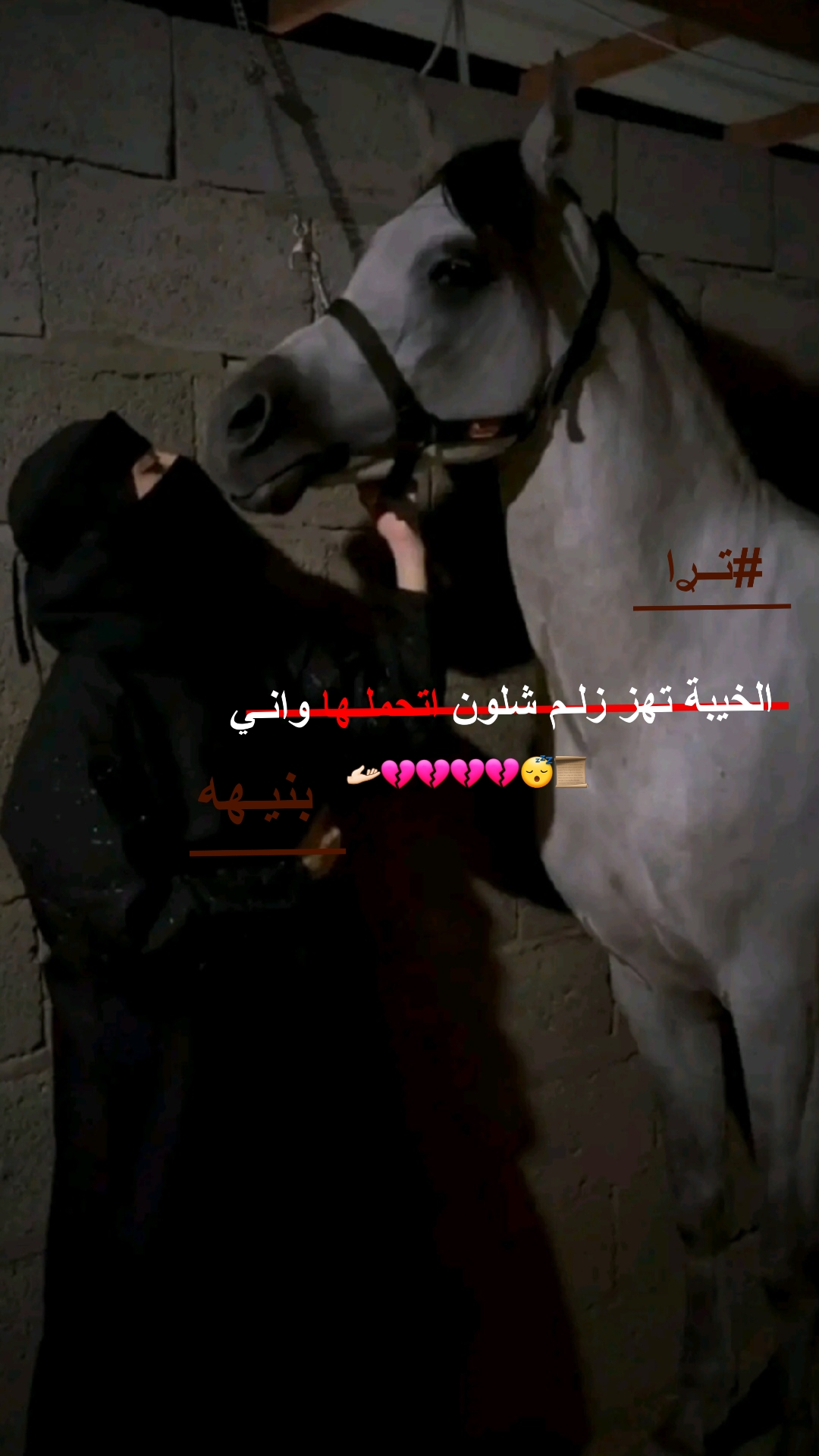 @ږٰٖﻣٰٖﺷهٖٓہ ﭑﻟﺷﻌٰٖﭘﭑﻧٰٖﯾهٖٓہ🖤