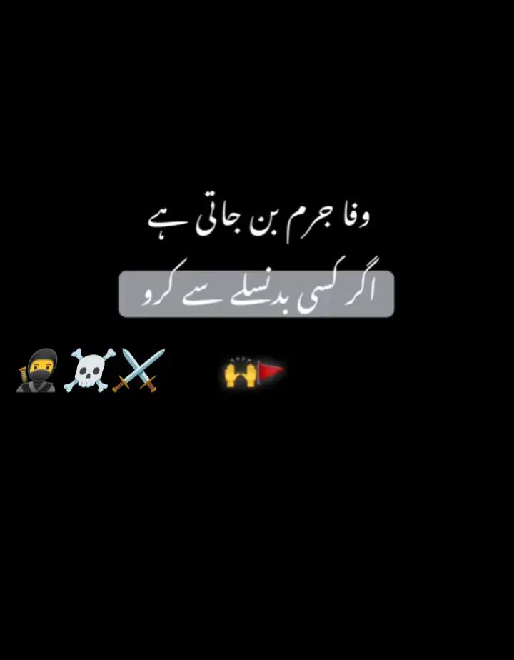 @سیکندر راجپوت👑🦅
