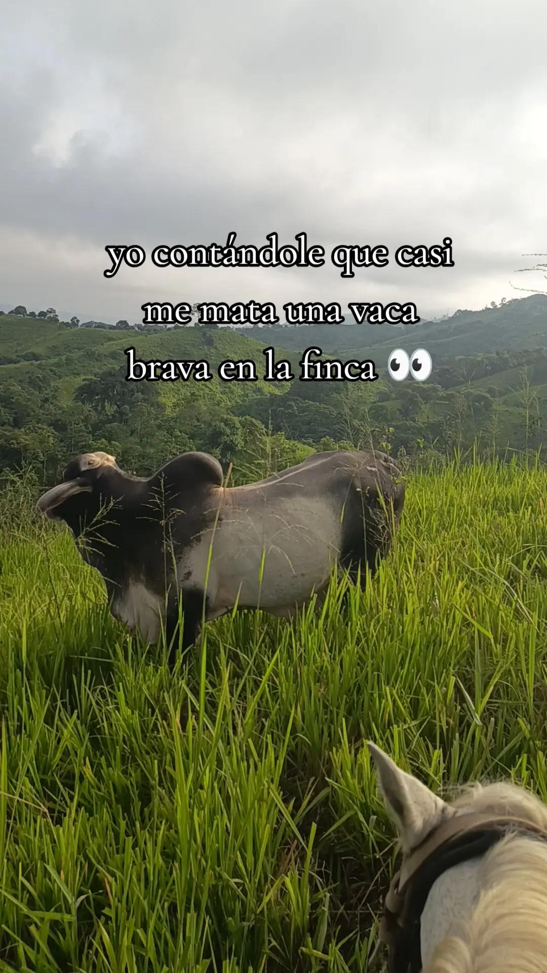 @Jean🤠