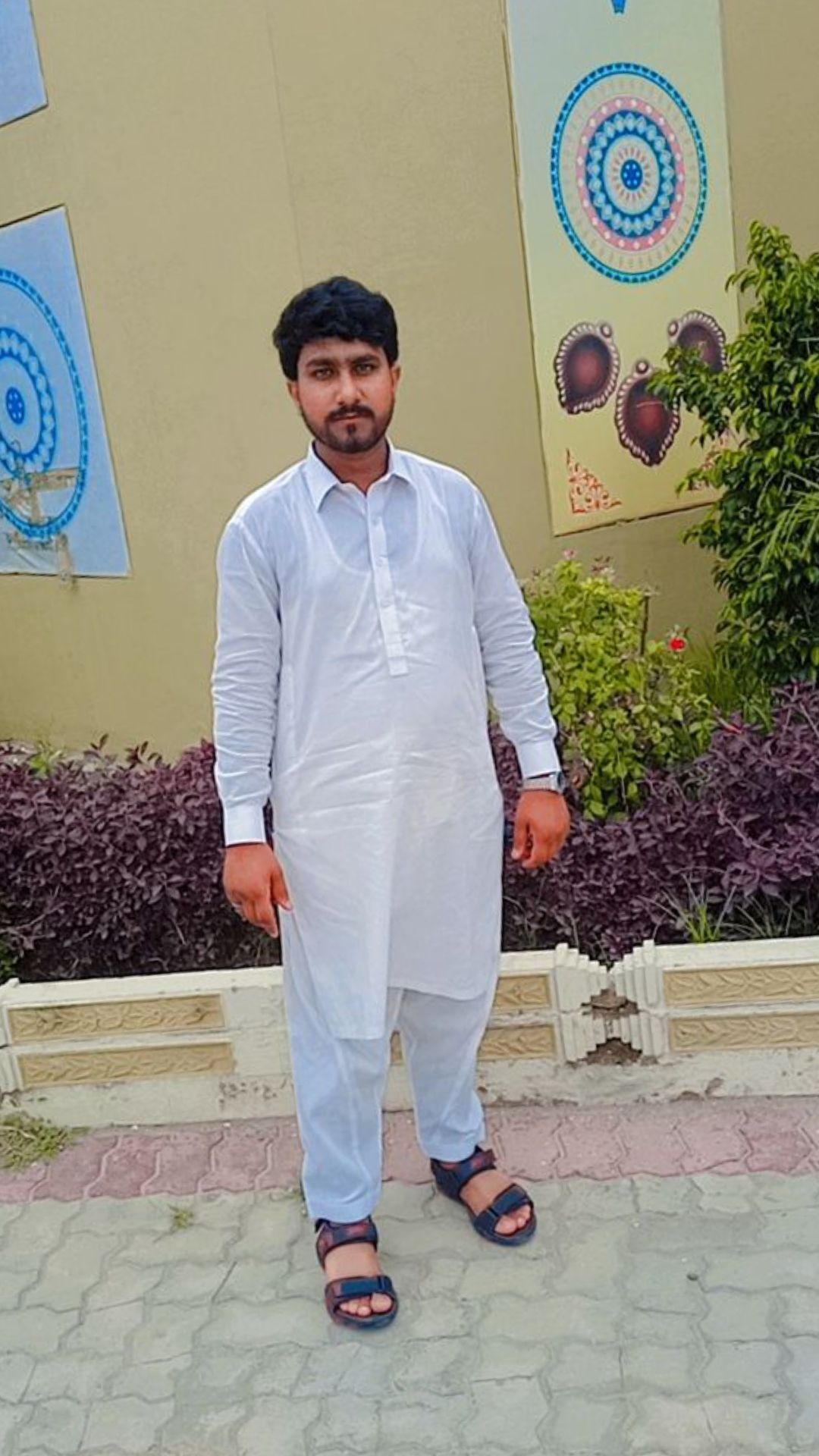 @mudassarjutt223