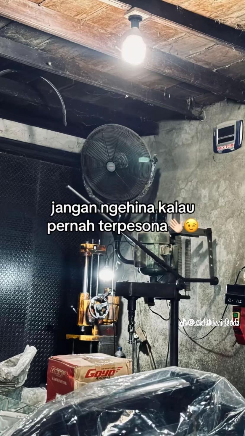 @A.afan🦖