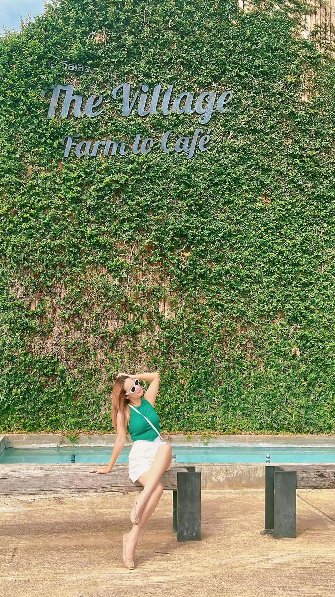@tang-tang🌻