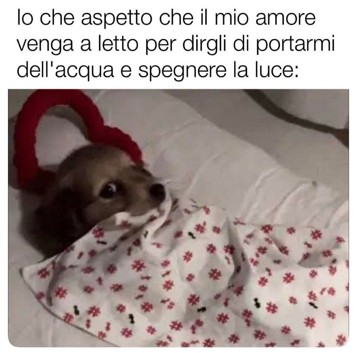 @Mariana🖤
