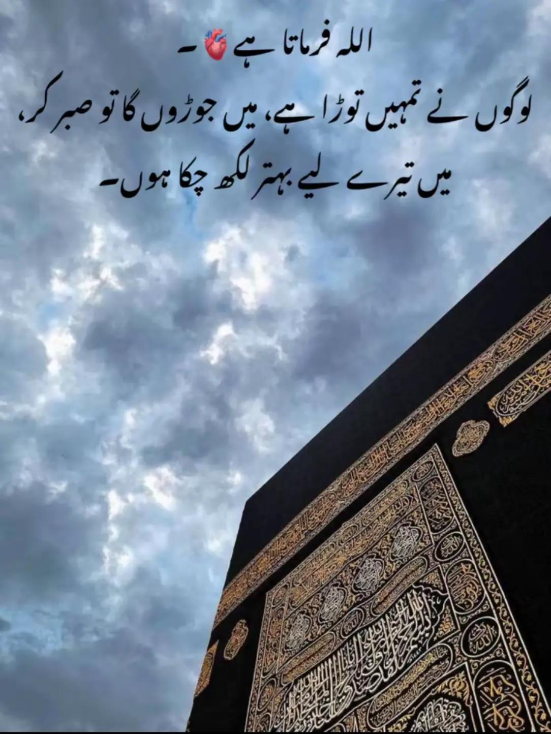@HUMAIR. 46🐯🐯