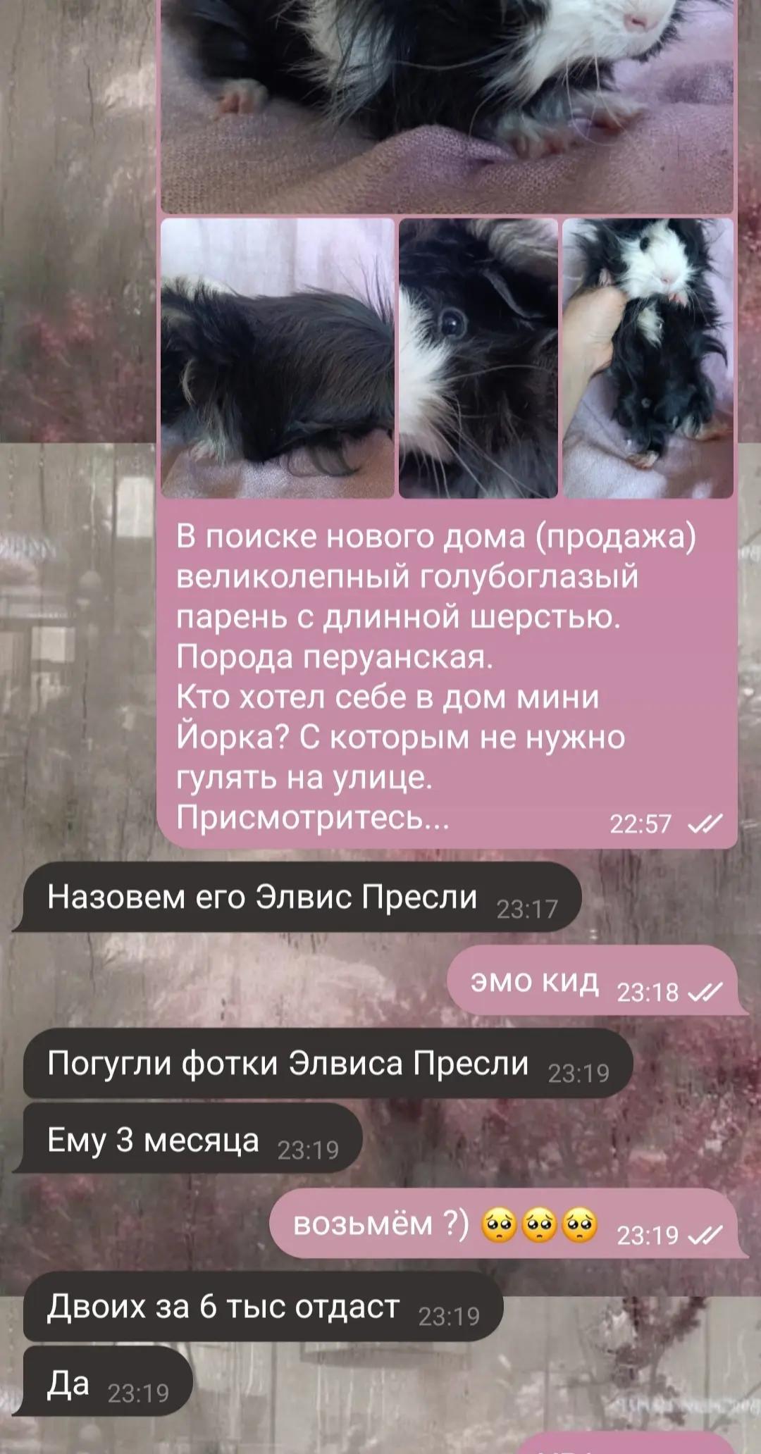 @nastya