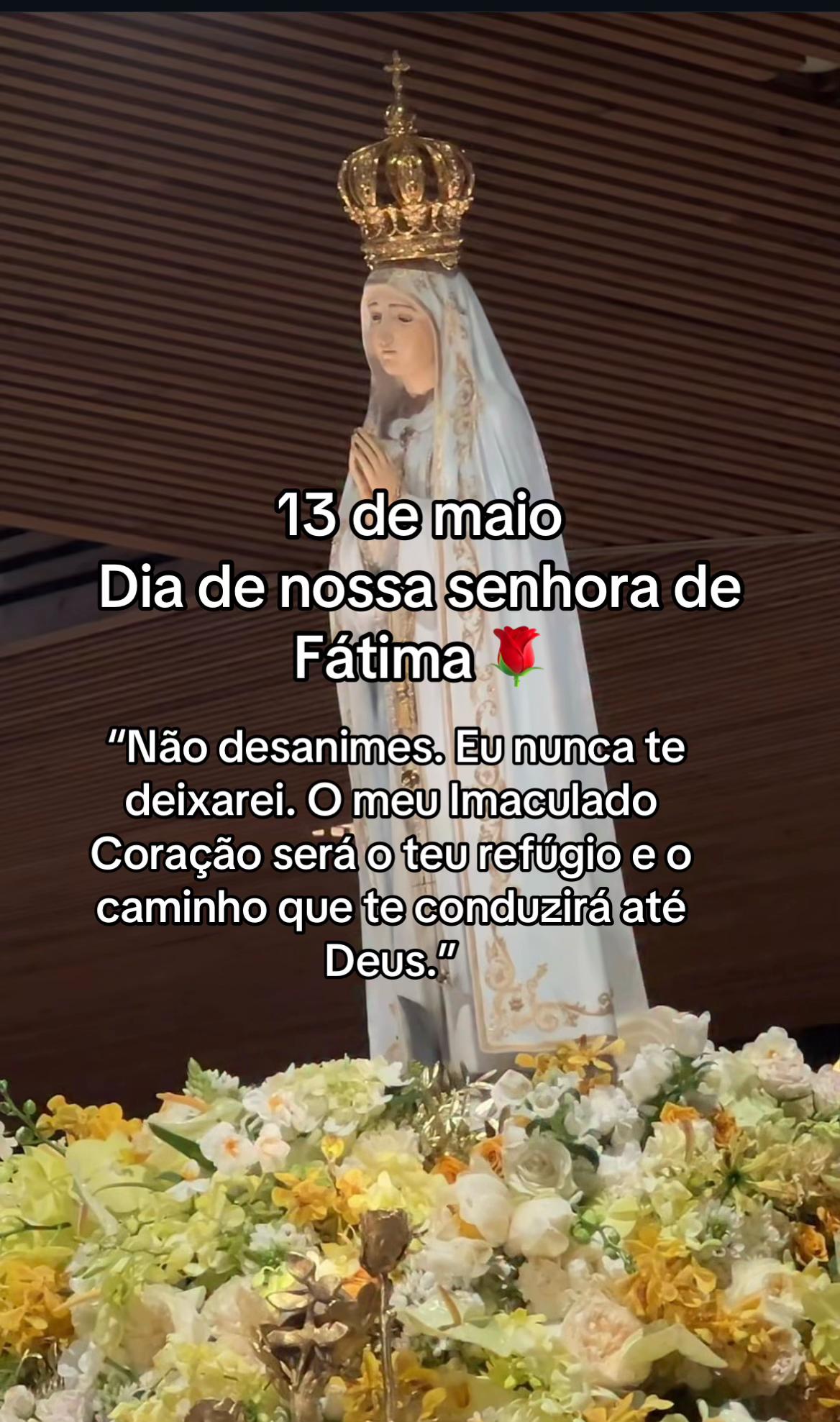 @Patty Freiitas🇻🇦