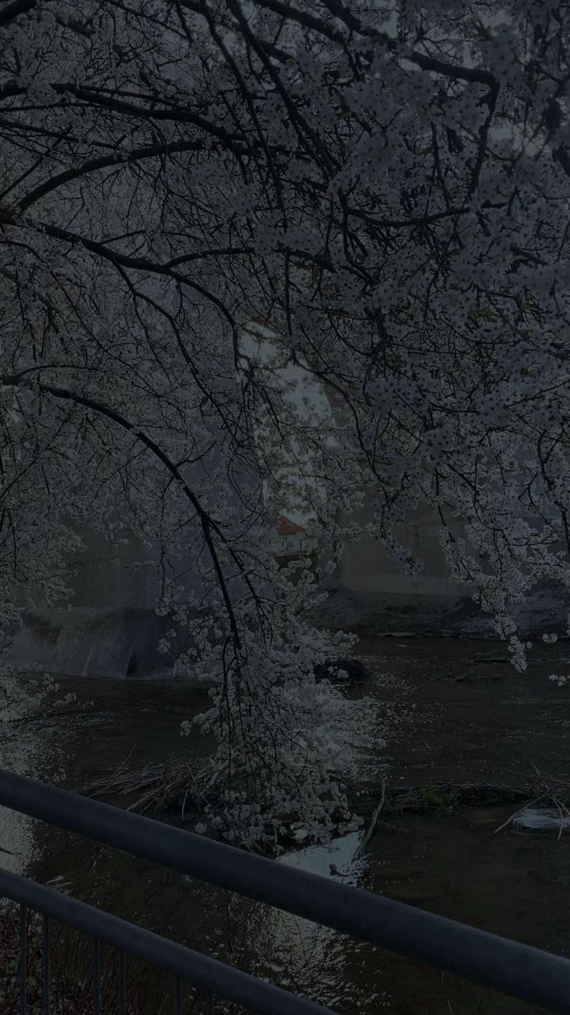 @𝐤𝐢𝐦𝐛𝐞𝐫𝐥𝐲