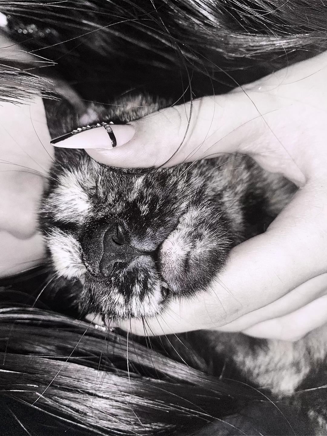 @𝓙uka 𓋹🦇⩜⃝ ♀️