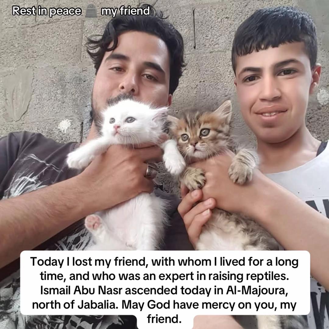 @Gaza Animal Rescue