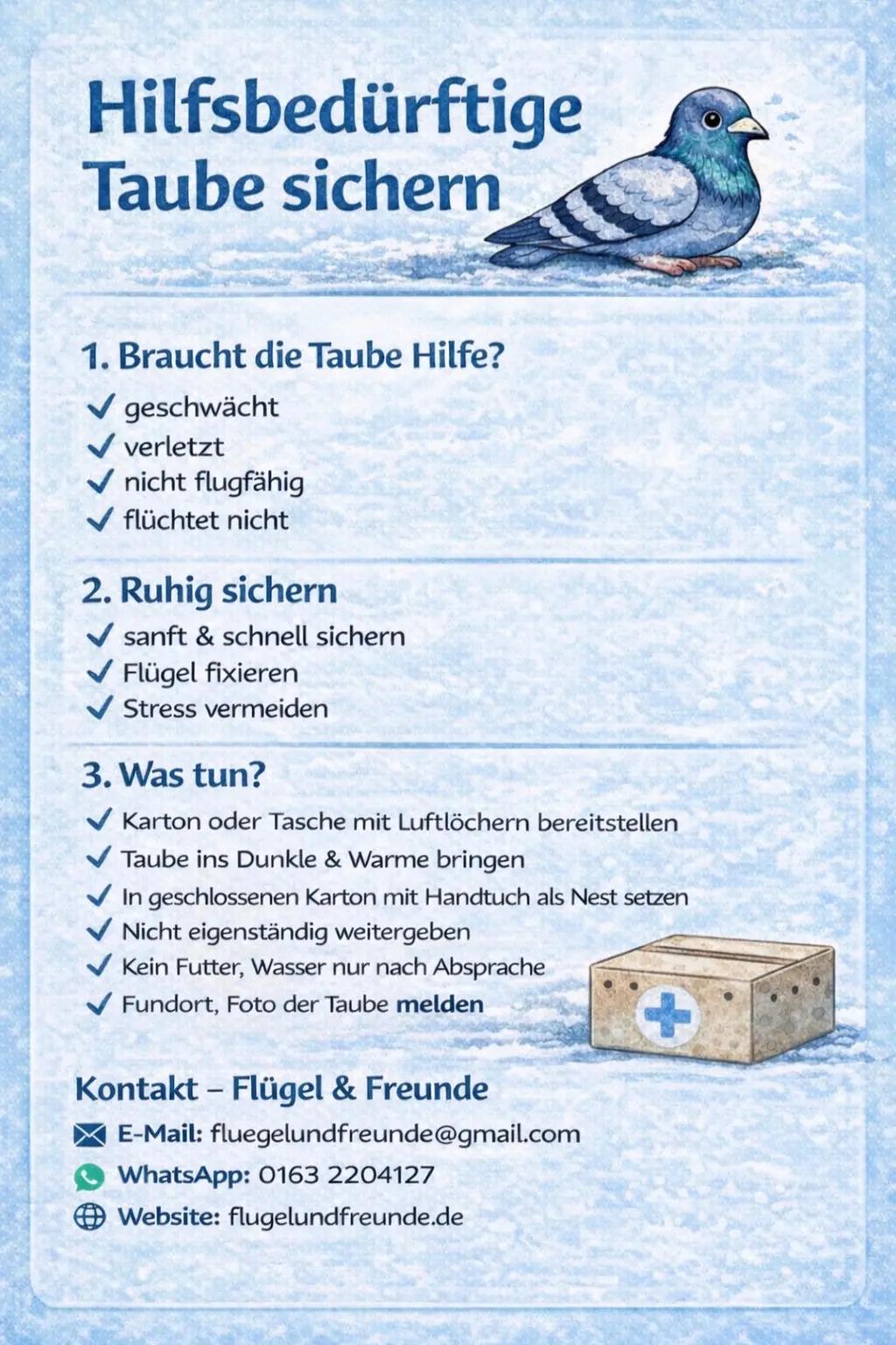@Fl&uuml;gel & Freunde