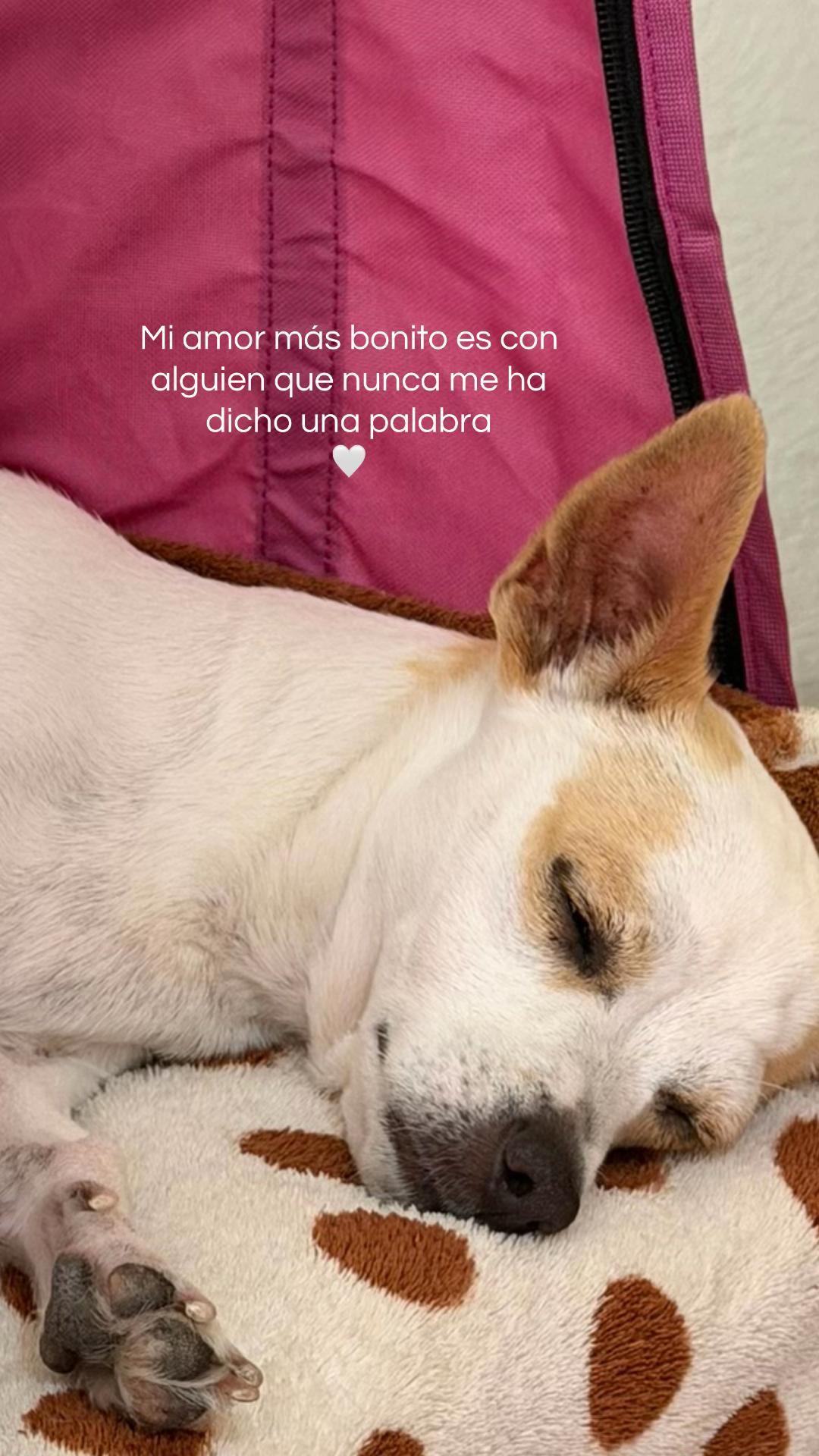 @Jaquelin GM 🌺