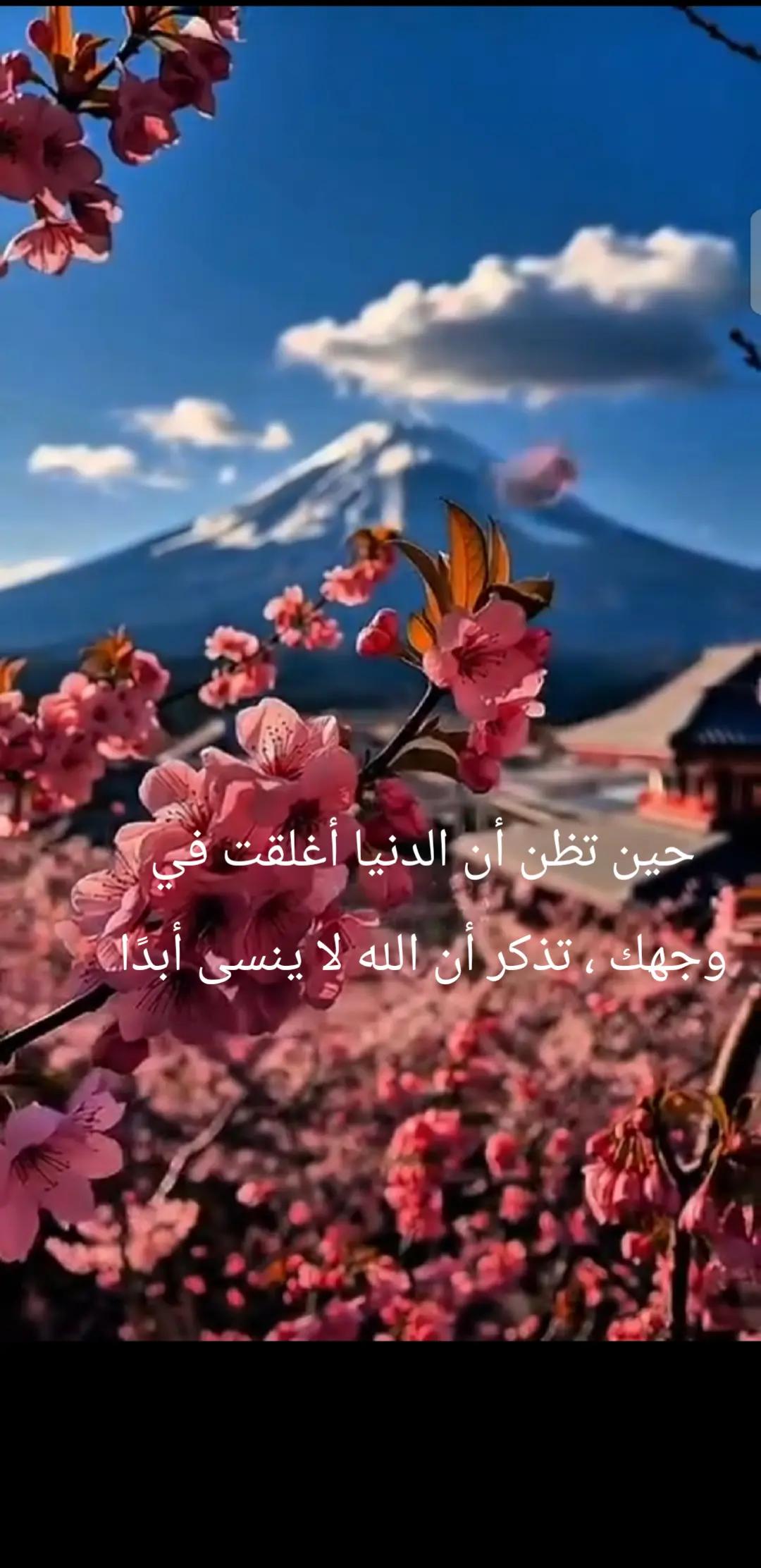 @💞⧣̶⃪⃪دفى ال⿻قلب ོ🪐💞