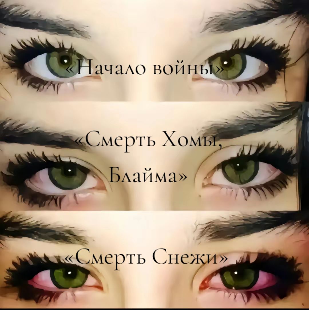 @морская свинка/🇦🇺🇮🇸
