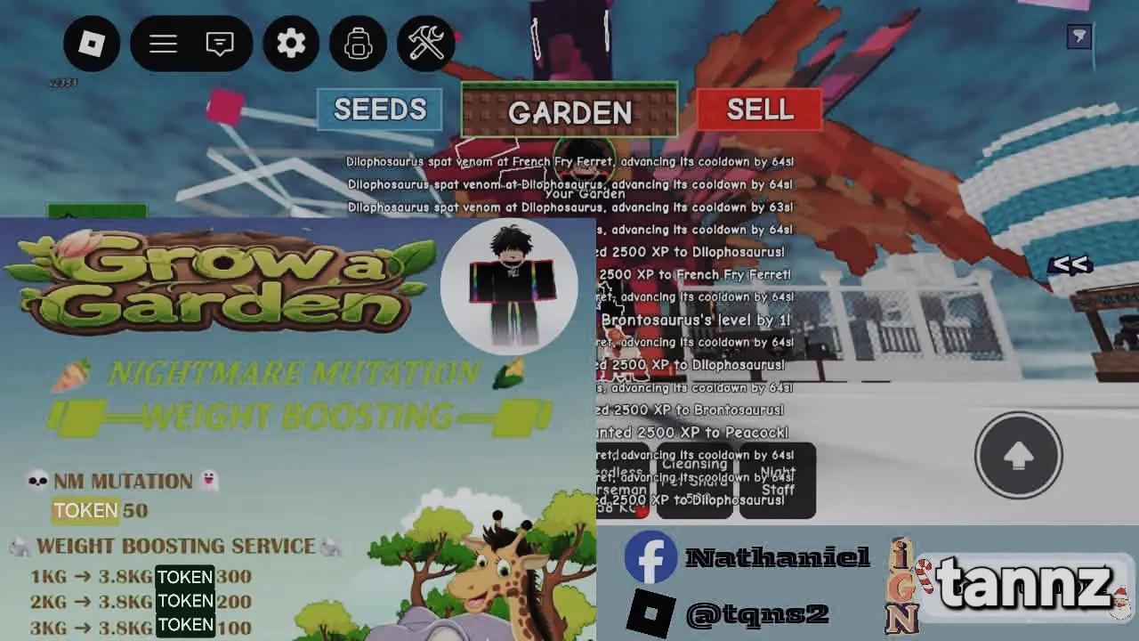 @tanzzz