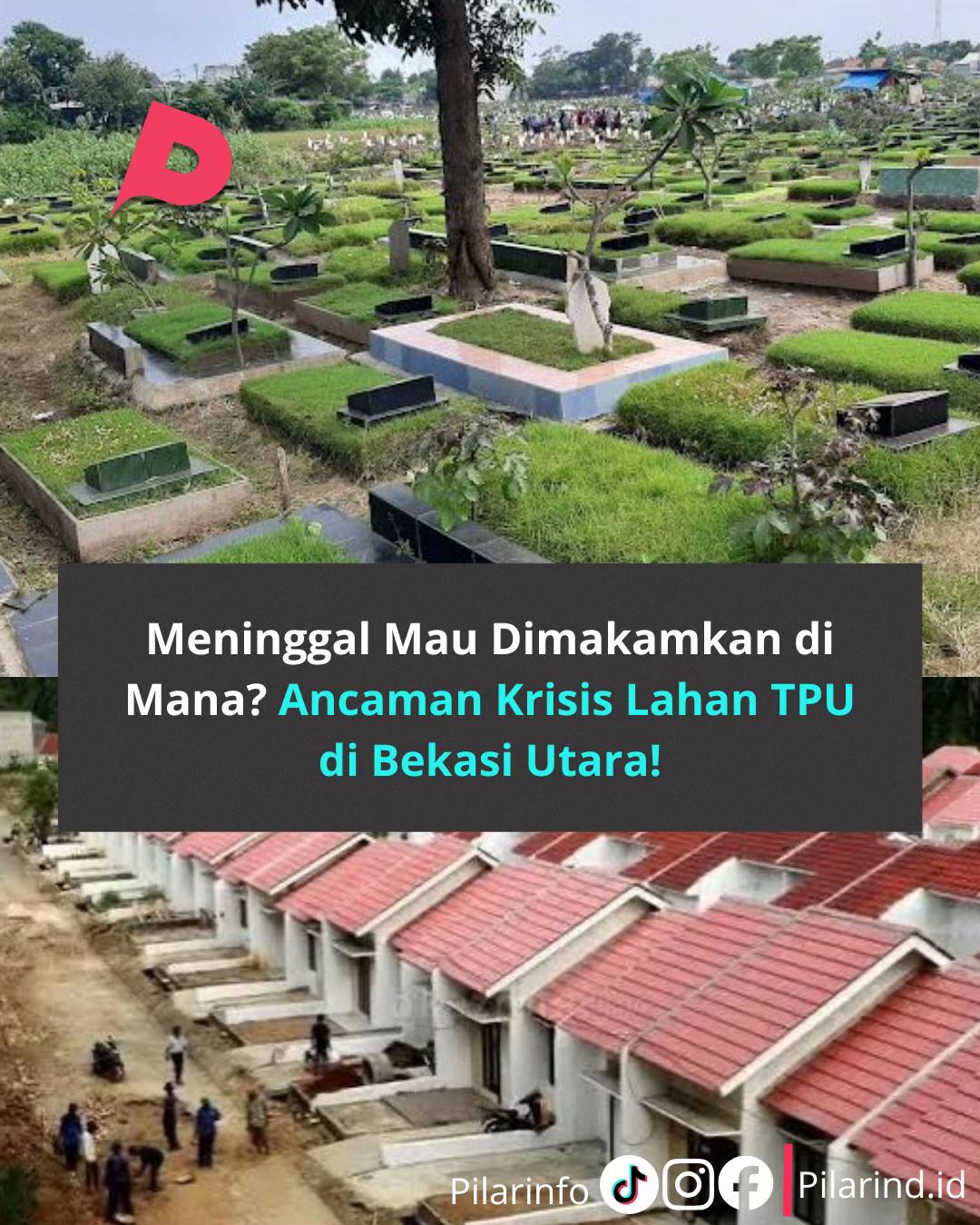 @Pilarinfo